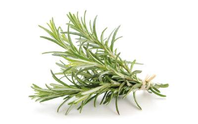 Rosmarino, rugiada di mare e olio d’oliva