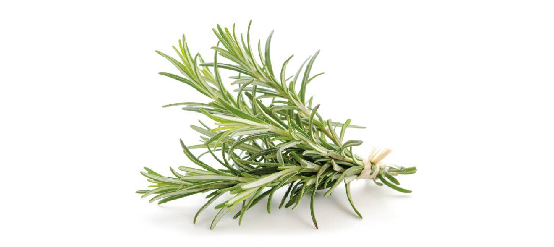 Rosmarino, rugiada di mare e olio d’oliva