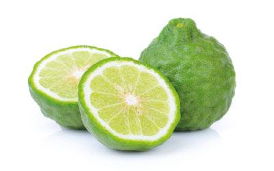 Bergamotto, aqua mirabilis e condimento dal profumo delicato