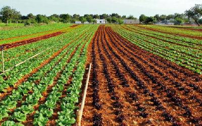 Filiera Corta, trasparenza e qualità