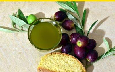 Febo Informa 7 Bread with extravirgin olive oil