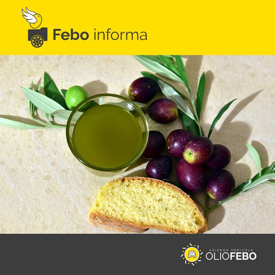 Bread with extravirgin olive oil