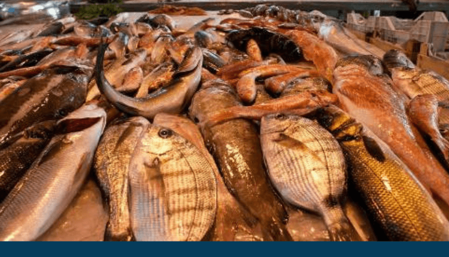 Comprare il pesce di stagione